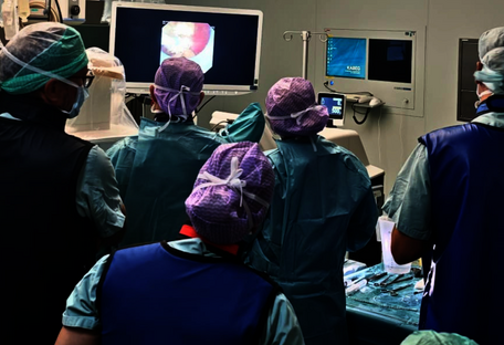 Alpe-Adria-Meeting: Live-OPs demonstrieren minimalinvasive Verfahren in der Steinchirurgie