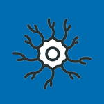 Neuroonkologisches Tumorzentrum